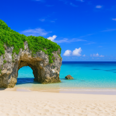 伝統的な製法と原料へのこだわり